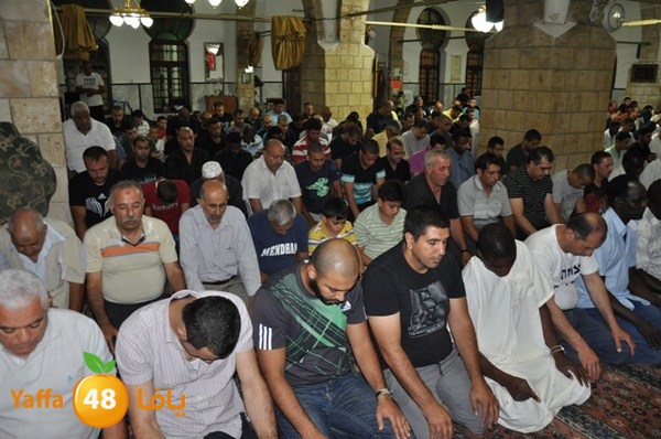 trawe7 7san bek 715 (33).JPG